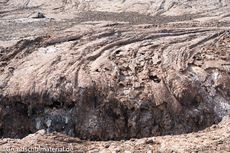 Galapagos-Natur7.jpg